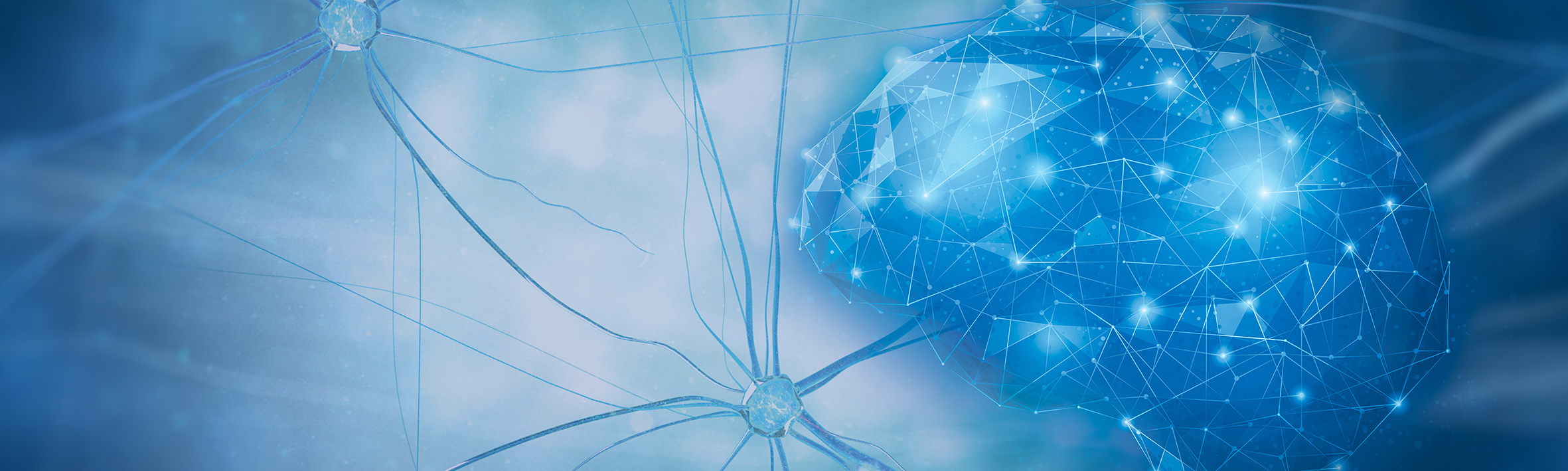 001 - Brain Blue Landscape
